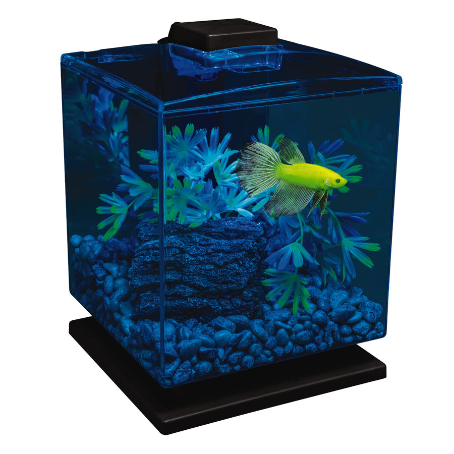 Betta Aquarium Kit 1.5 Gallons, Easy Setup and Maintenance, Perfect Starter Tank,Black/Clear
