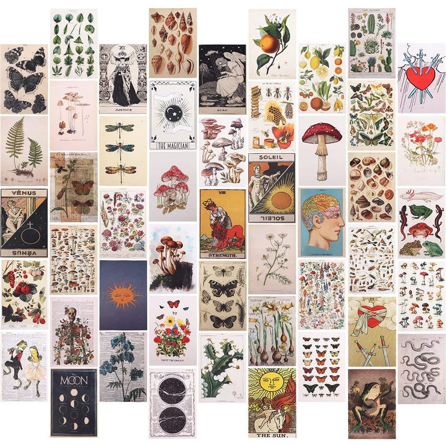Wall Collage Kit,50 Pcs Vintage Botanical Wall Collage Posters Aesthetic Pictures for Tarot Boho Botanical Illustrations Nature Posters,Teen and Girls Dorm Room Art Aesthetic