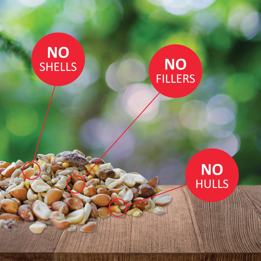 Woodpecker Wild Bird Seed, No Waste Bird Seed with Nuts, Dried Fruit & Shelled Seeds - 5 lb. Bag