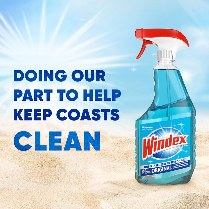 Windex Refill Glass and Window Cleaner Bottle, Bottle M