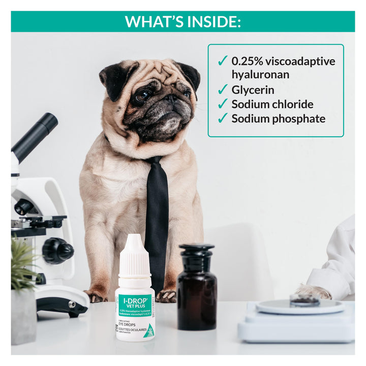 VET PLUS: Pet Eye Drops for Dogs | Lubricate Acute/Seasonal Dry Eyes | Superior Comfort | Long-lasting Relief | Fewer Application Needed, 0.25% Hyaluronan | Multi dose Bottle | One Bottle 10 ml