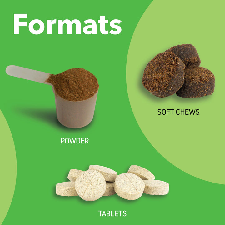 InClover Connectin Natural Hip &amp; Joint Supplement for Dogs with Glucosamine, Chondroitin &amp; Hyaluronic Acid - Powder for Dog Mobility, Comfort &amp; Active Lifestyle Support, 23oz