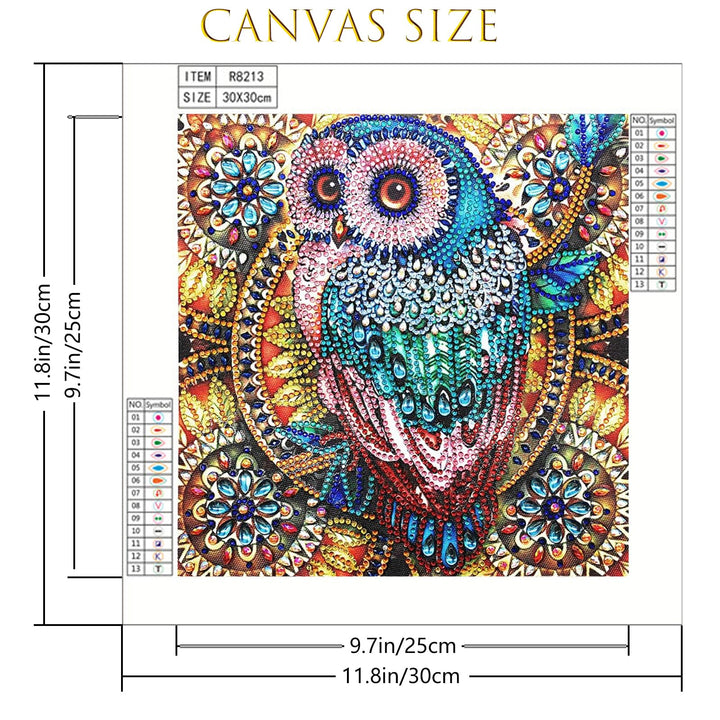 Owl Diamond Art Painting Kits for Adults,DIY 5D Special Shape Rhinestone Crafts, Partial Dots Gem Home Decor 12x12inch