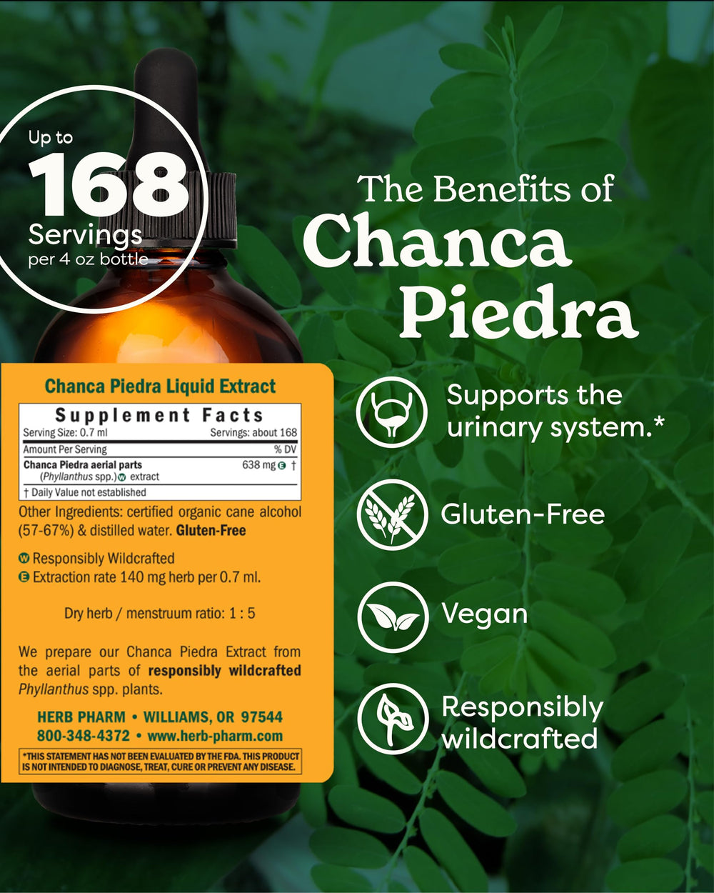 Chanca Piedra Liquid Extract for Urinary System Support - 4 Ounce