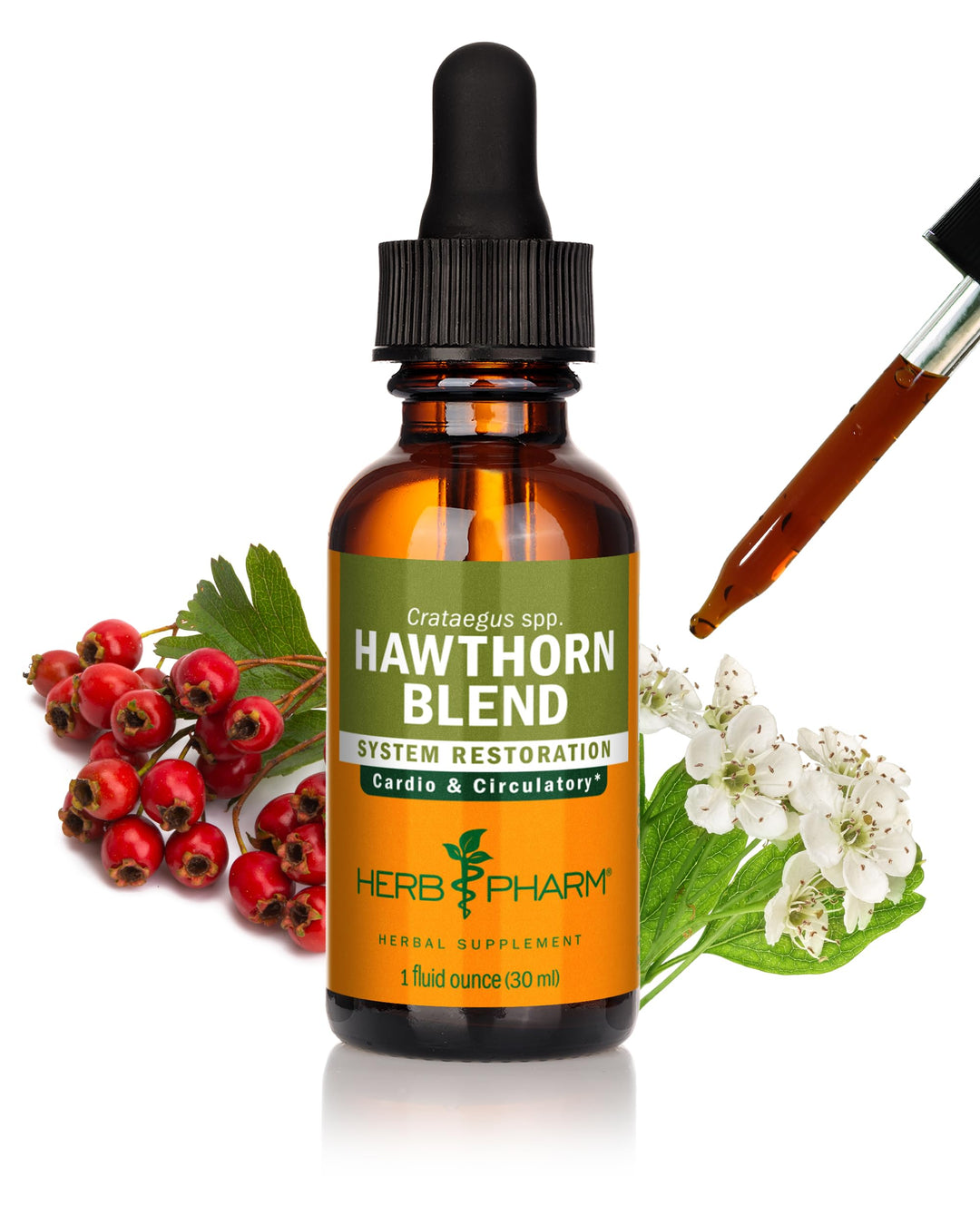 Hawthorn Blend Liquid Extract for Cardiovascular and Circulatory Support, 1 Fl Oz