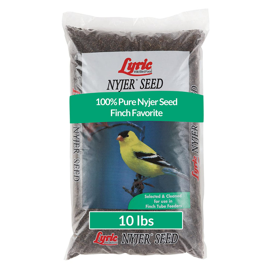 Nyjer Seed Wild Bird Seed Finch Food - Attracts Goldfinches, House Finches & Purple Finches -10 lb Bag