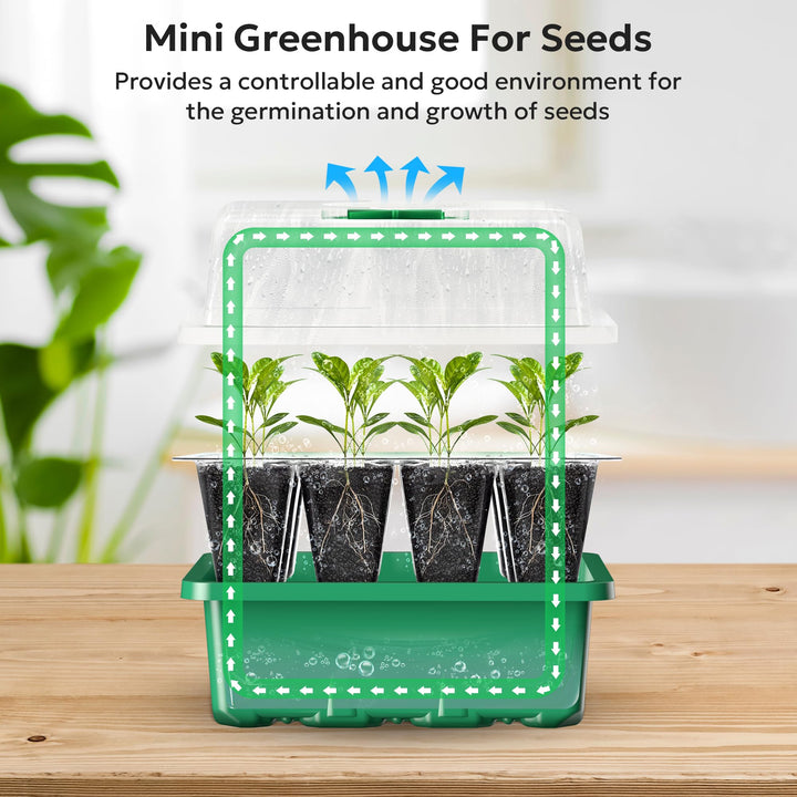 10-Pack Seed Trays Seedling Starter Tray, MIXC Humidity Adjustable Plant Starter Kit with Dome and Base Greenhouse Grow Trays Mini Propagator for Seeds Growing Starting (12 Cells per Tray), 10 Pieces