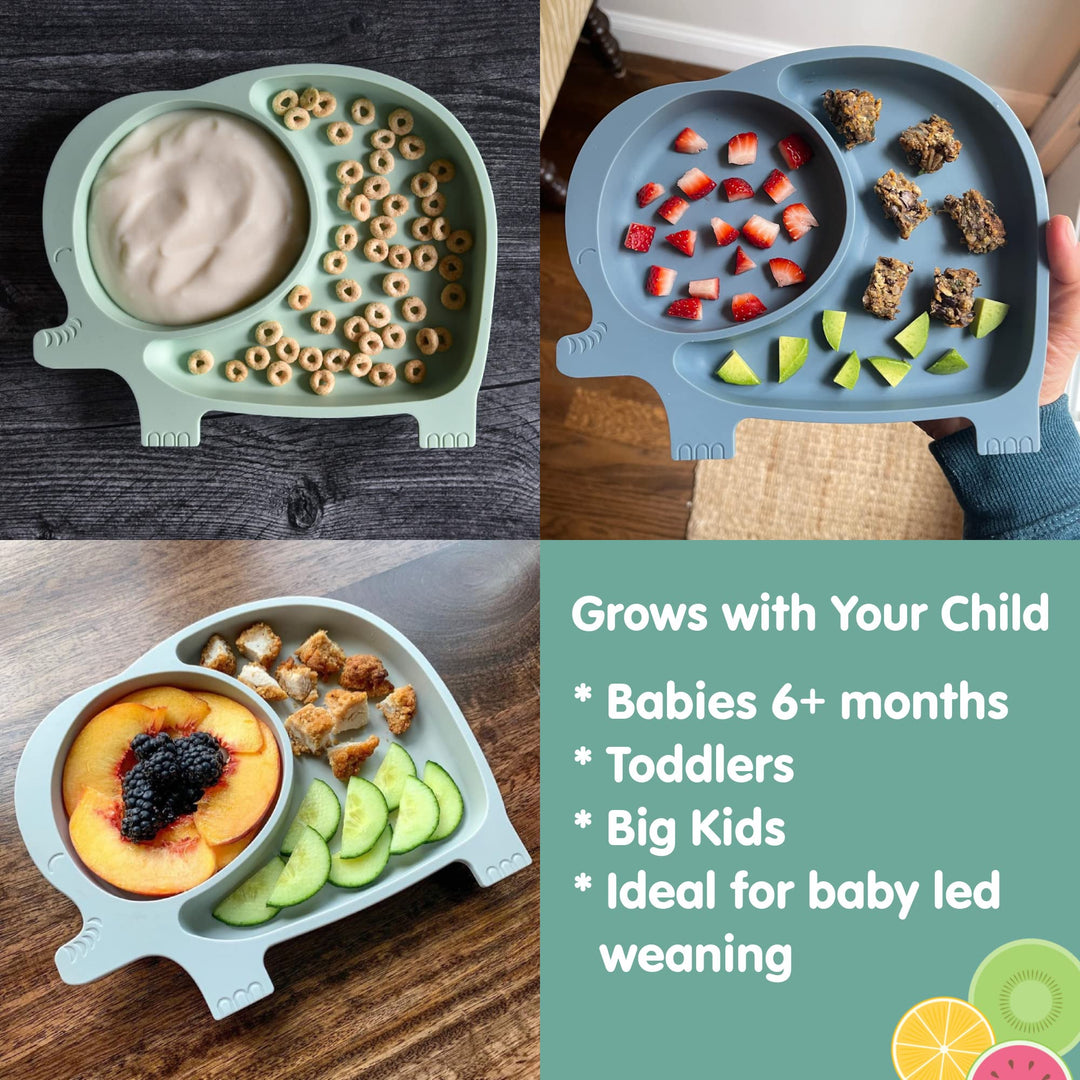 Sili Elephant Divided Toddler or Baby Suction Plate - 100% Silicone Plate, BPA-Free - Gray - Microwave, Dishwasher and Oven Safe