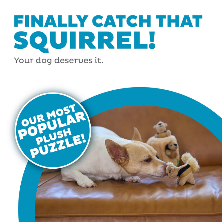 Hide A Squirrel Plush Dog Toy Puzzle, Small