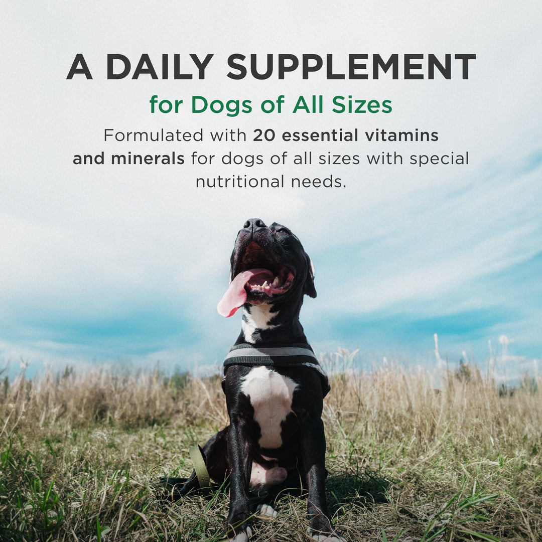 Plus Multivitamin and Mineral Supplement for Dogs with Special Nutritional Needs, Chewable Tablet, 180 Count Bottle