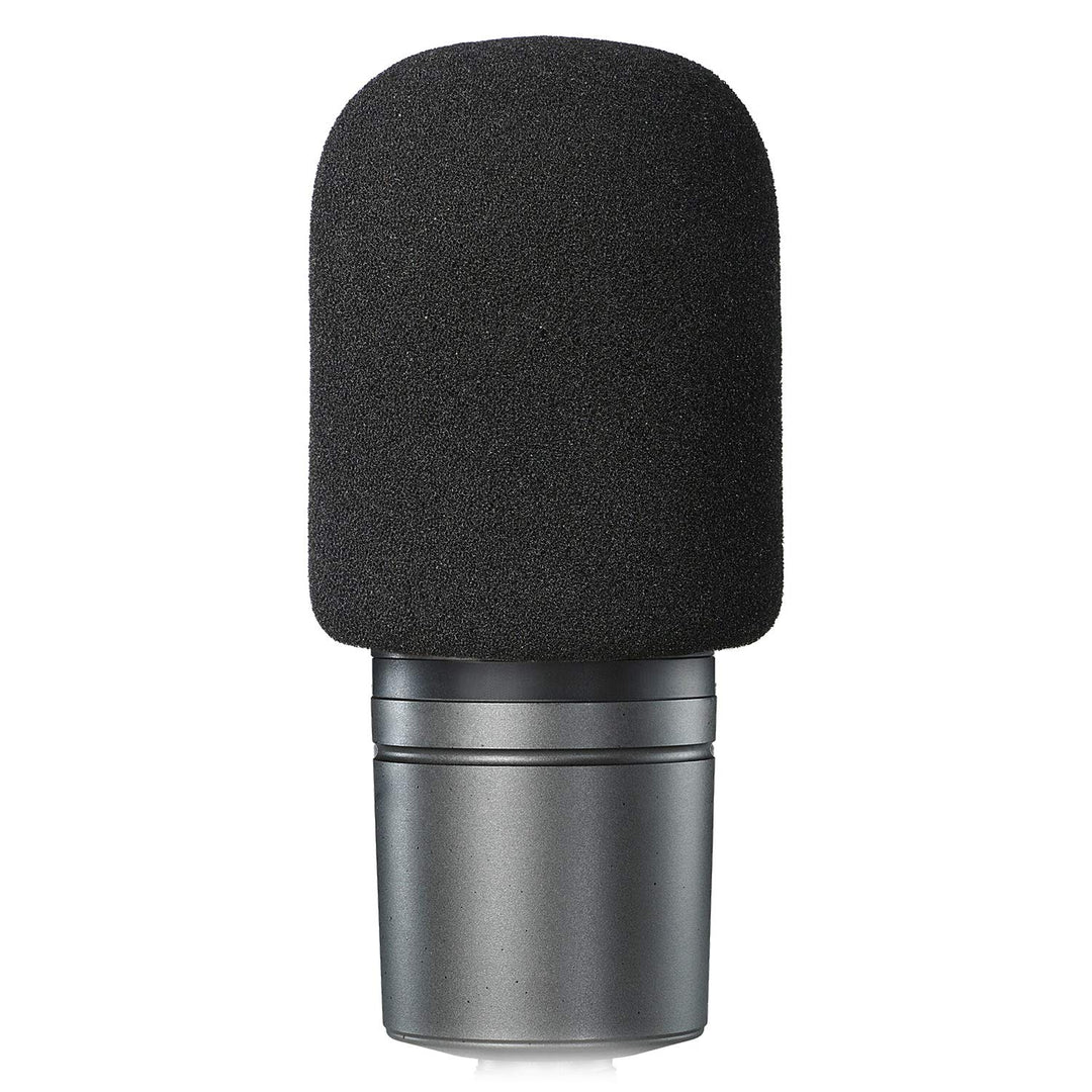 Windscreen Foam Cover, Windscreen Pop Filter for Audio-technica AT2020 Condenser Studio Microphone,Compatible with AT-2035 AT-2050 ATR2500 ATR2500X AT-4040 Microphones,(Black)