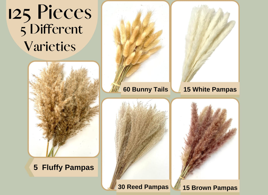 125 PCS Dried Pampas Grass Bouquet - Boho Flowers - Boho Pampas Grass Decor - Bunny Tails Small Pampas Grass - Pompas Floral - Mini White Pampas - Pampass Grass Bulk - Dried Gras