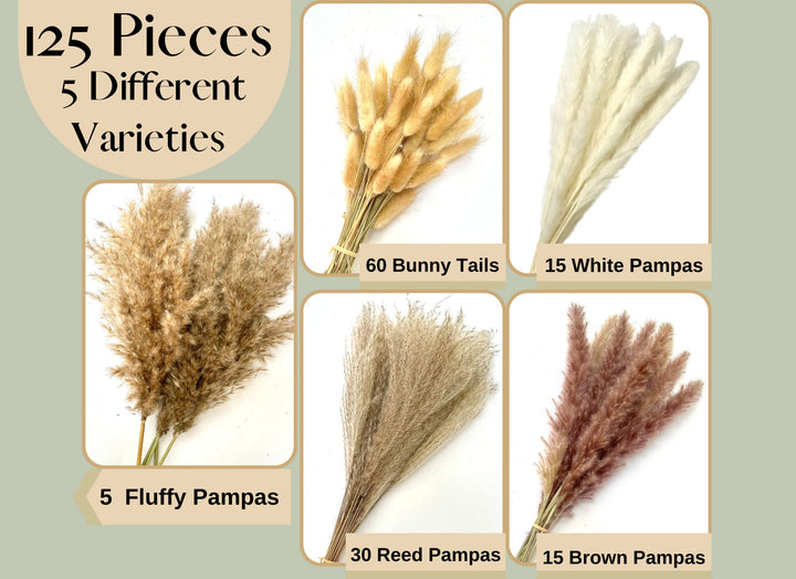 125 PCS Dried Pampas Grass Bouquet - Boho Flowers - Boho Pampas Grass Decor - Bunny Tails Small Pampas Grass - Pompas Floral - Mini White Pampas - Pampass Grass Bulk - Dried Gras