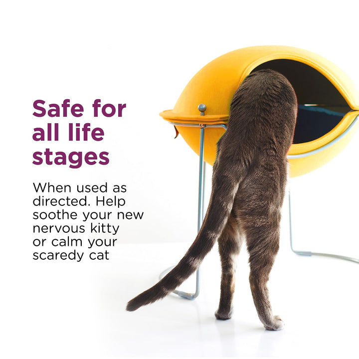 Cat Calming Spray: Travel Size (2oz)