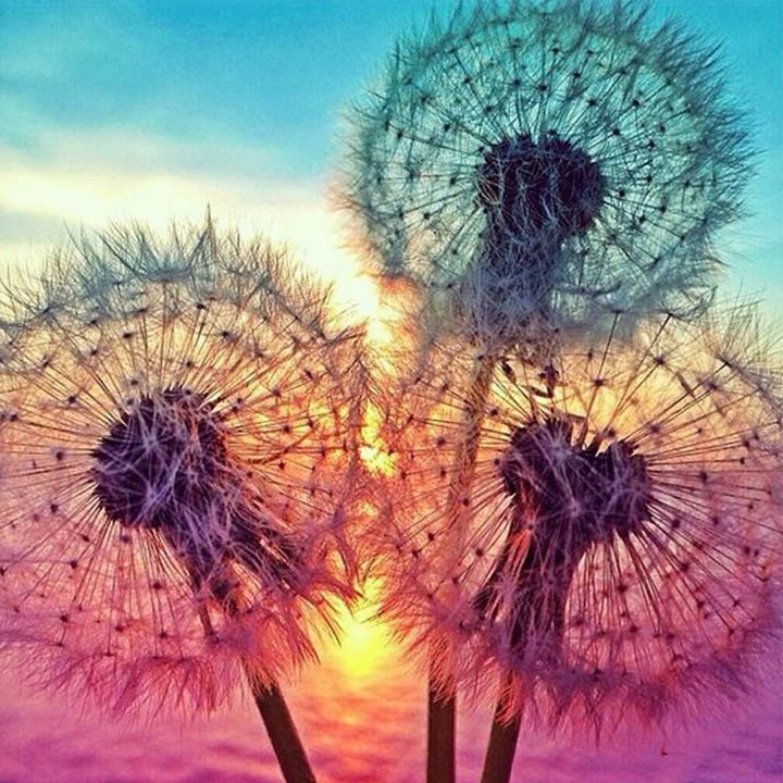 Diamond Art Painting Kits for Adults, Round Full Drill Diamond Art Painting Kits 5D DIY Diamond Art Painting by Number Kits Diamond Art Kits for Home Wall Decor Dandelions 12x12 Inch