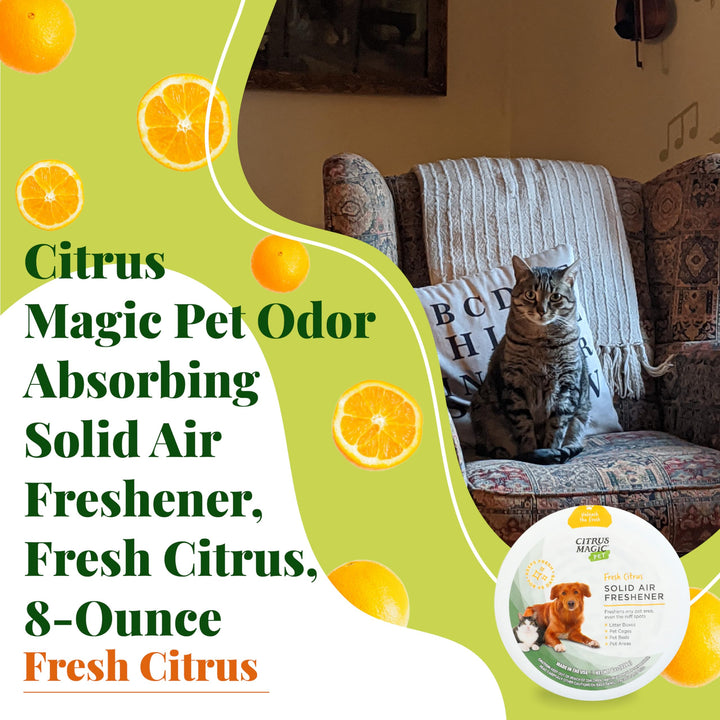 Pet Odor Eliminator Solid Air Freshener, Fresh Citrus, 8-Ounce, Pack of 1
