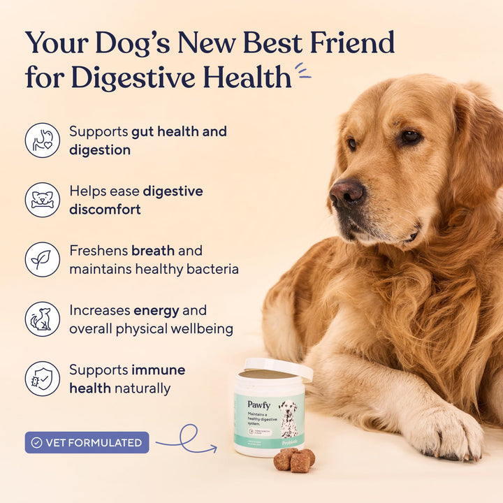 Probiotics for Dogs | Supports Digestive Health, Diarrhea for Small and Large Dogs | Improves Gut Health | Anti Yeast Supplements | Promotes Skin Health and Seasonal Allergies Support - 30 Chews
