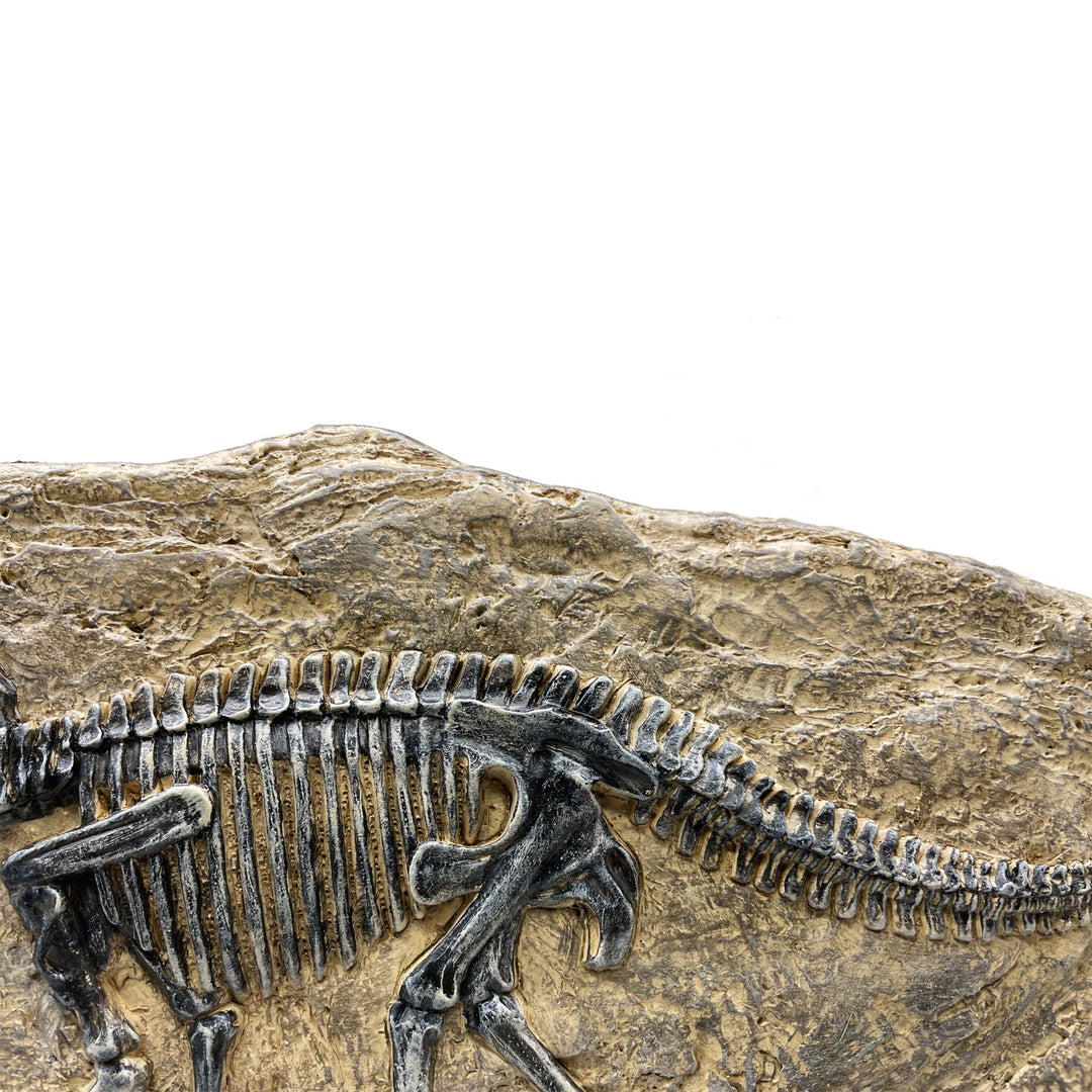 Resin Triceratops Dinosaur Fossil Statue Model Simulated Skeleton Home Office Display Decorative Craft Box Decoration (Style 6)