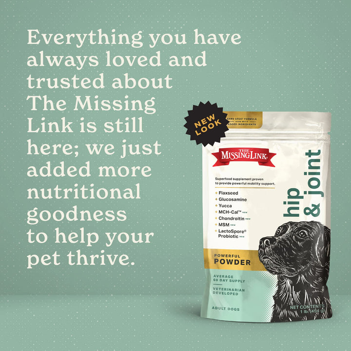 Hip &amp; Joint + Probiotics Supplement 1lb Bag - Superfood Powder for Dog Cartilage &amp; Bone Health, Joint Mobility &amp; Flexibility