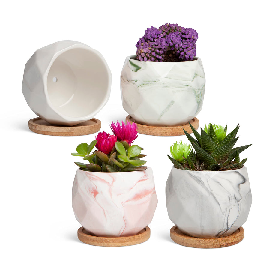 Succulent Pots Set of 6, Plant Pots Indoor, Succulent Planters, Small Plant Pots, Cactus Pot, Cute Plant Pots, Small Flower Pots, Small Succulent Pot, Small Planter Set
