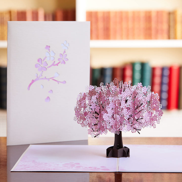 Everyday Pop-Up Card for Her and Him- 3D Thinking of You Greeting Cards for Boys, Girls, Men, Women - 5 x 7 Cherry Blossom - Blank Note Card &amp; Envelope Included