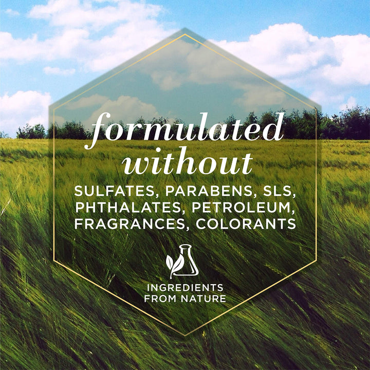 Burt&#39;s Bees for Pets Multipurpose Dog Wipes with with Honey, 98% Natural Origin Formulas, Hypoallergenic Dog Wipes Cleaning, Dog Cleaning Wipes, Dog Wipes for Paws and Butt, 50ct