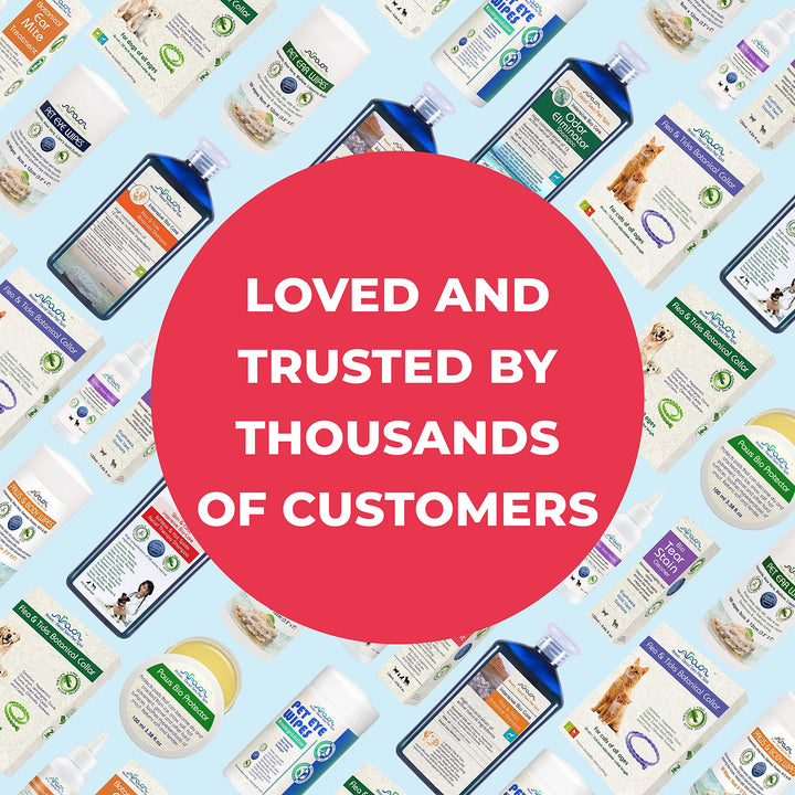 Arava Pet Eye Wipes for Dogs Cats Puppies &amp; Kittens - 100 Count - Natural and Aromatherapy Medicated Cat Dog Eye Wipes for Discharge and Crust - Removes Dirt, Prevents Tear Stains, Face Wipes for Dogs