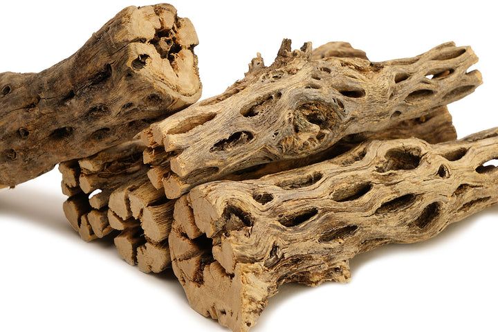 NApremium Natural Cholla Wood | 5 Pieces of 5-6 Long Natural Cholla Wood for Aquarium Decoration, Hermit Crabs, Shrimp