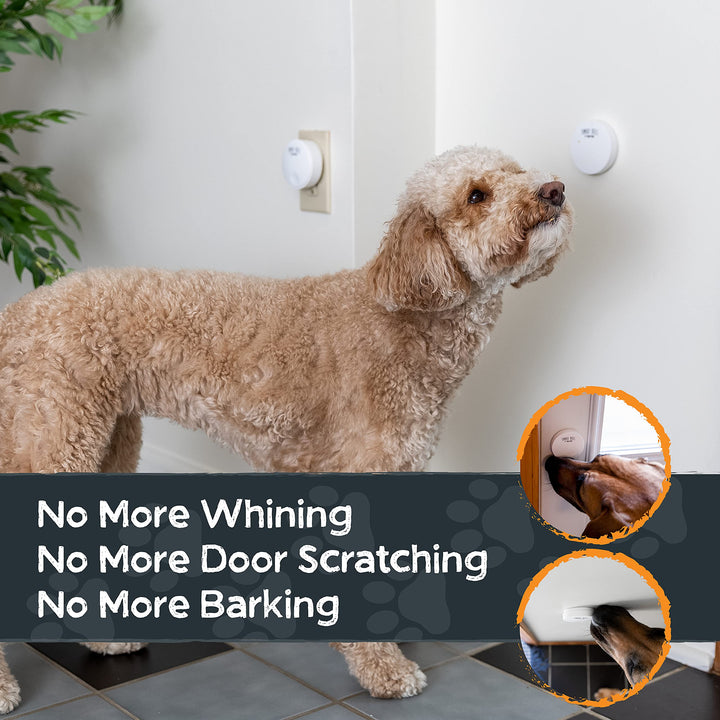 Smart Bell 2.0 (2 Button Pack) - Wireless Electronic Dog Doorbell - Dog Potty Button Communication - Pet Communication Tool - Puppy Potty Training
