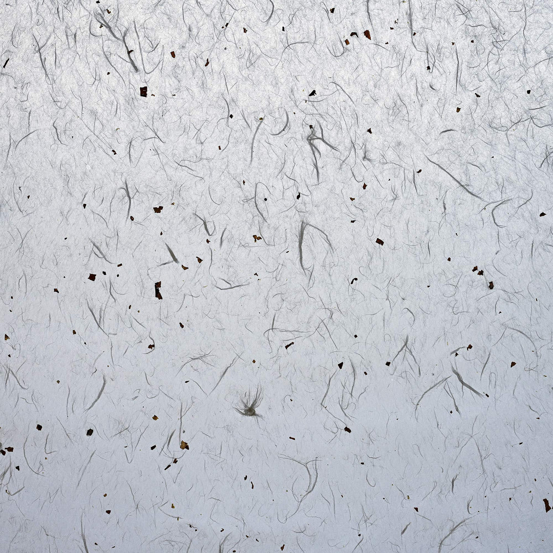 Korean Mulberry Paper HanJi Natural Fiber Texture Gift Wrapping Packaging Decorative Wallpaper UnYong-Ji Roll White with Mulberry bark Spots 54Cm x 20m (21.3 x 787.4 Inches)