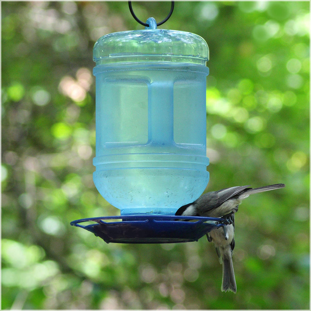 780 Outdoor Hanging Water Cooler Bird Waterer and Dispenser,Blue, 1.5 Qt Capacity