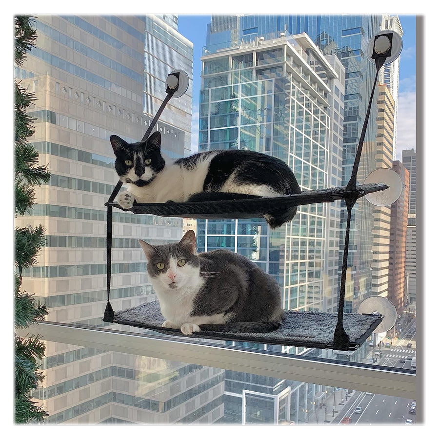 EZ Mount Double Stack Cat Window Perch for Large Cats, Sturdy Window Hammock Bed, Steel Frame, Sturdy Suction Cups, 2 Washable Shelf Covers, Foldable - Fits 27W X 31H Glass Spaces