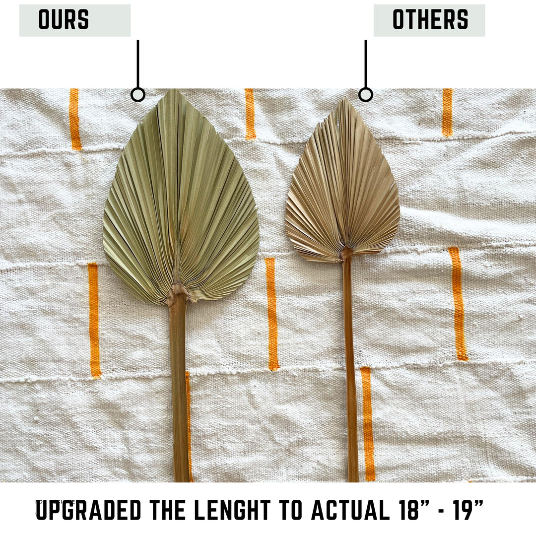 5Pcs 18 H x 6.5 W Trimmed Dried Palm Leaves, Dried Palm Spear, Boho Wedding Decor, Hawaiian Luau Party Table Decoration, Dried Wedding Flowers