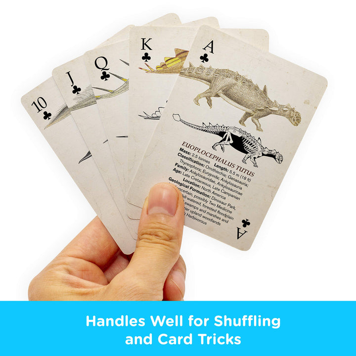 AQUARIUS Smithsonian Playing Cards - Themed Deck of Car