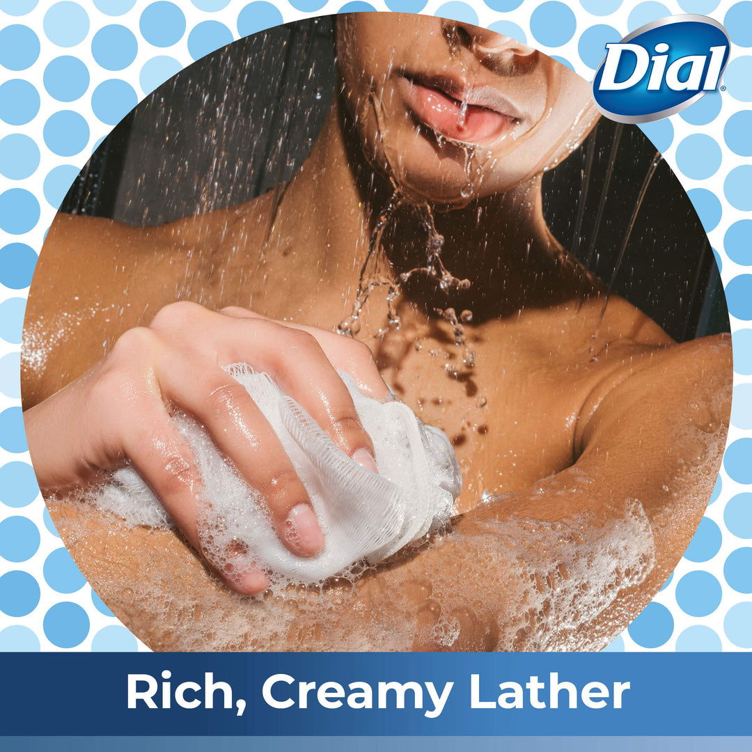 Dial Body Wash, Skin Therapy Himalayan Pink Salt & Water Lily, 16 Fluid Ounces