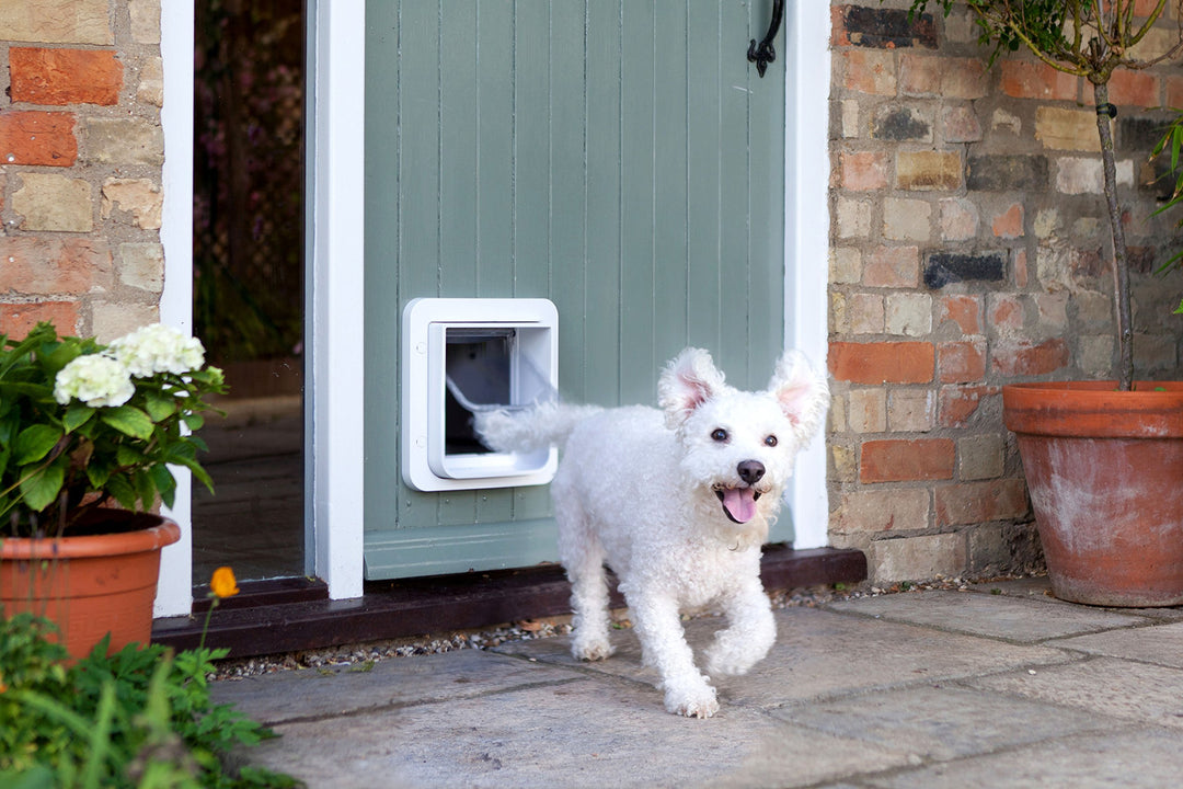 -Sure Petcare Microchip Pet Door (White)