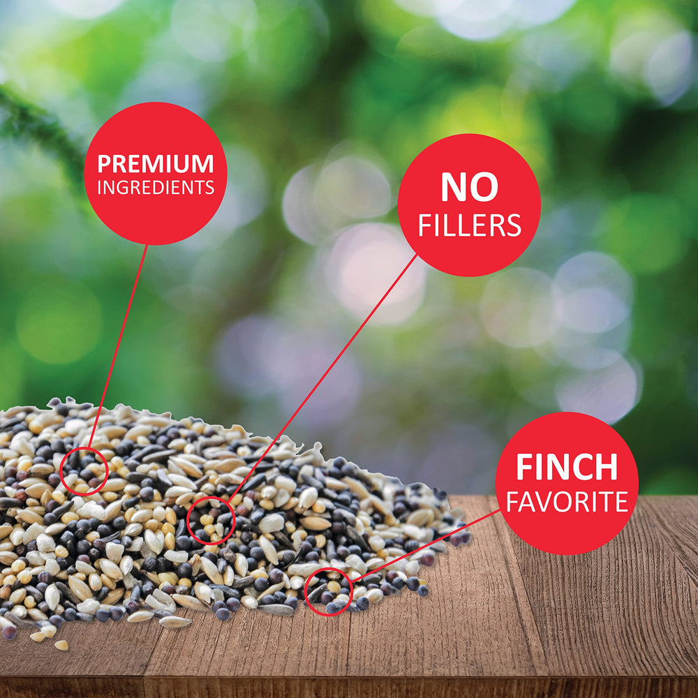 Finch - Small Songbird Wild Bird Seed - Attracts Goldfinches, House Finches, Purple Finches & More - 5 lb. Bag