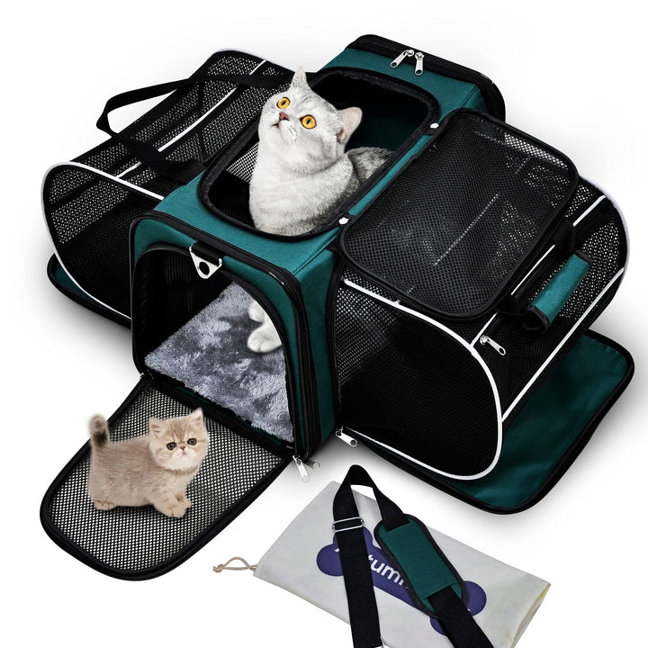Cat Carrier, Pet Carrier Airline Approved, 2 Sides Expandable Dog Carrier, Soft-Sided Collapsible Dog Travel Bag with Removable Fleece Pad for Cats, Puppy and Small Animals (Green)