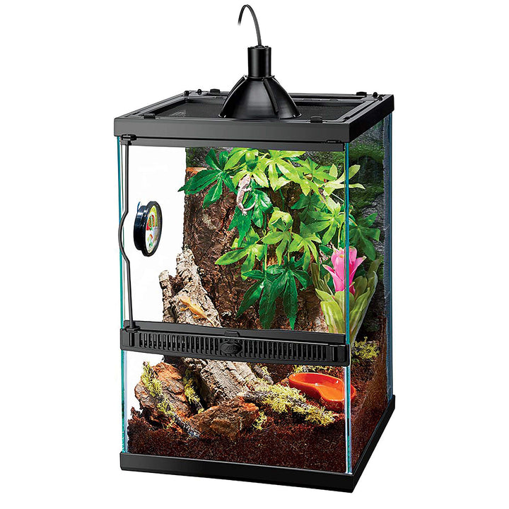 11 Gallon Glass Tropical Vertical Habitat Starter Kit for Small Tree Dwelling Reptiles &amp; Amphibians
