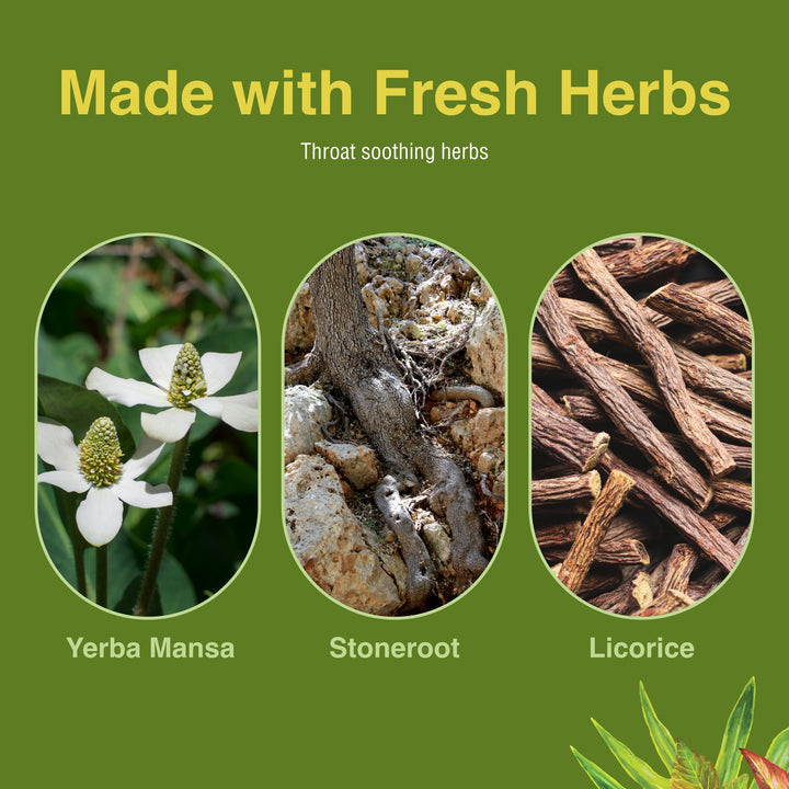 Singer&#39;s Saving Grace Lemon &amp; Honey - Herbal Remedy Spray Aids Throat Comfort &amp; Health - Soothing Hydrating Throat Support - Throat Relief Spray with Licorice - 1 fl oz (About 75 Servings)