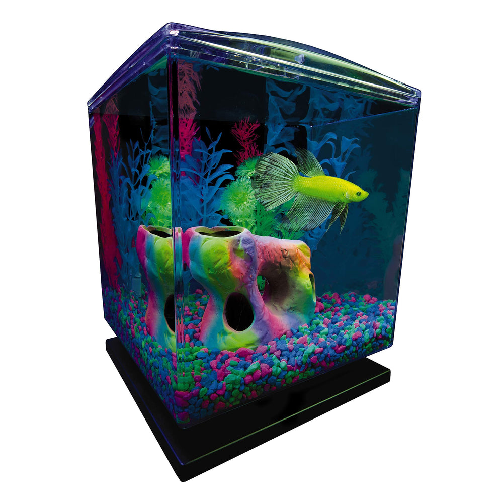 Betta Aquarium Kit 1.5 Gallons, Easy Setup and Maintenance, Perfect Starter Tank,Black/Clear
