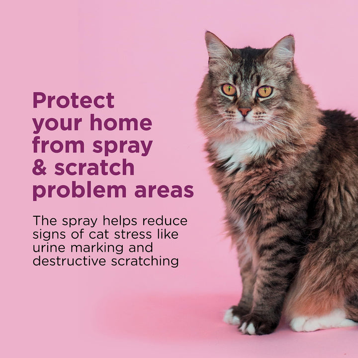 Cat Calming Spray: Travel Size (2oz)