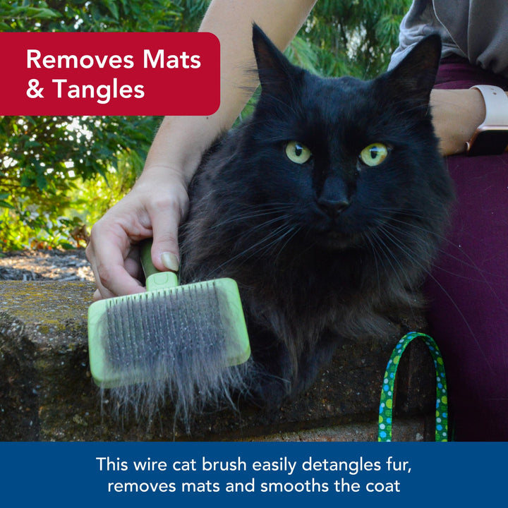 Pet Safari - Cat Self-Cleaning Slicker Brush - Cat Grooming Supplies