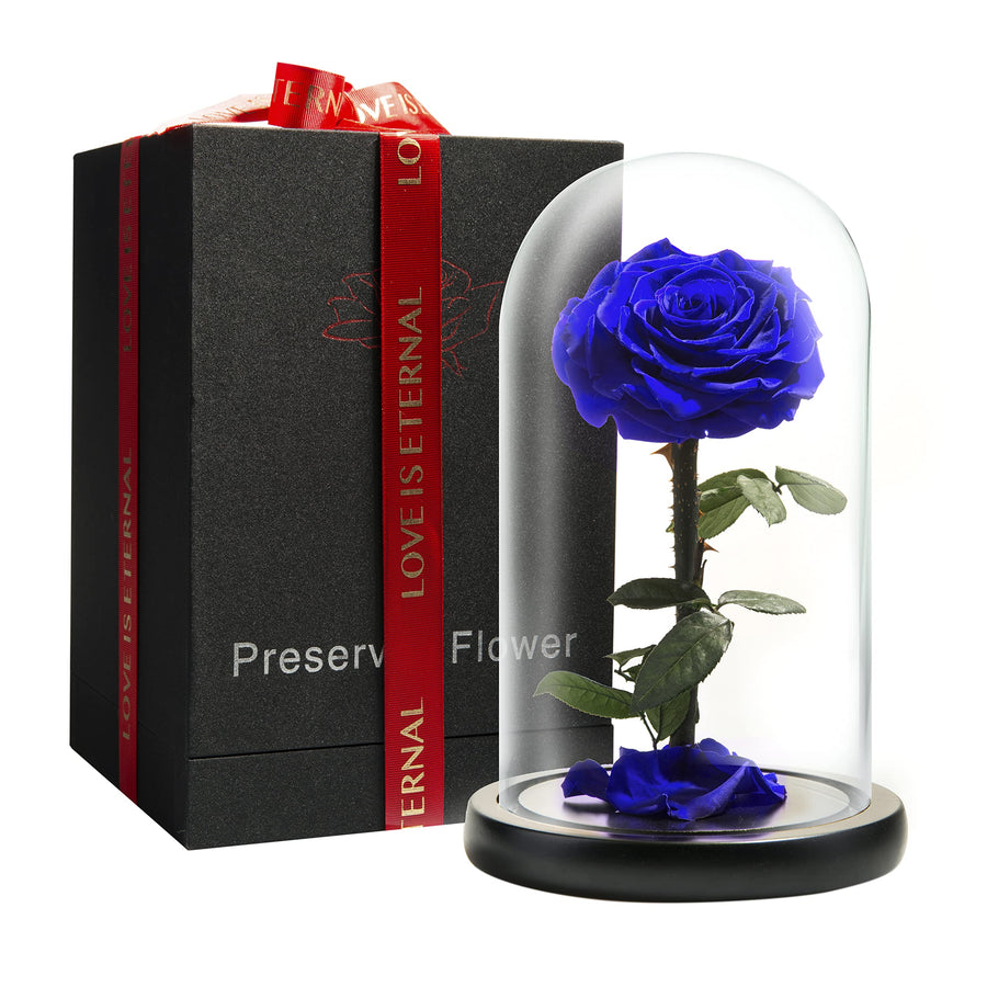 LOVAPPY Forever Preserved Rose - Eternal Rose in Glass 
