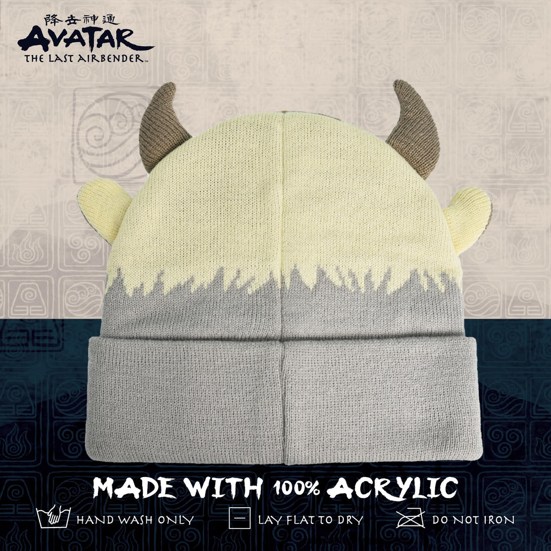Avatar The Last Airbender Appa Acrylic Knitted Winter with Cuff Beanie Hat, Multi, One Size