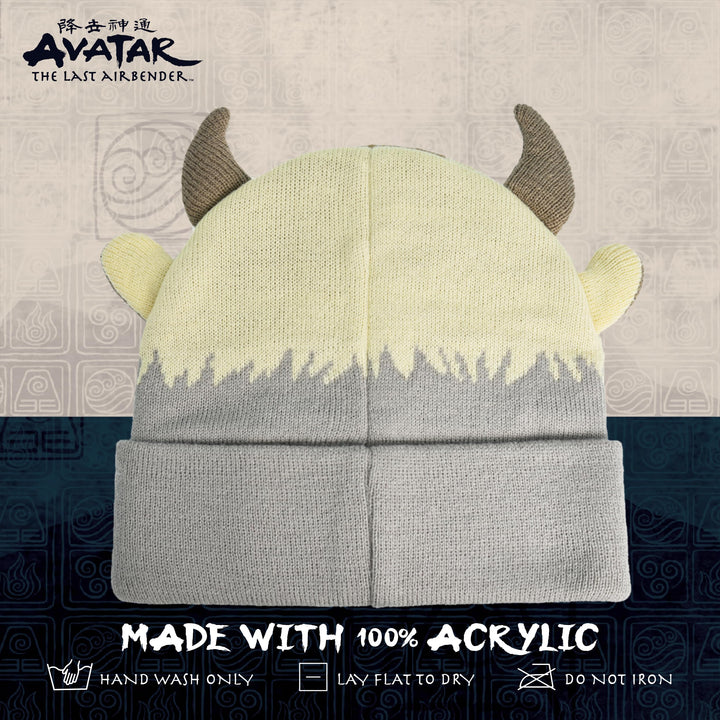 Avatar The Last Airbender Appa Acrylic Knitted Winter with Cuff Beanie Hat, Multi, One Size