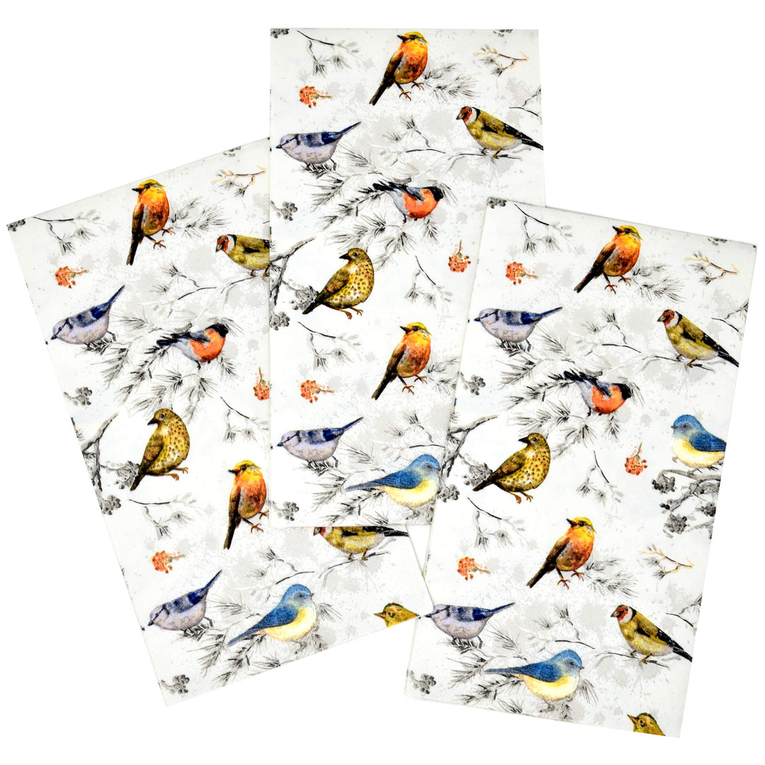 Gift Boutique 100 Bird Guest Napkins Disposable Paper B