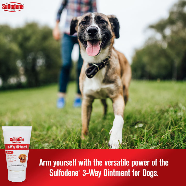 Dog Wound Care 3-Way Ointment, Relieves Pain &amp; Prevents Infection For Dog Cuts, Scrapes, Bites and Injuries, 2 Ounce