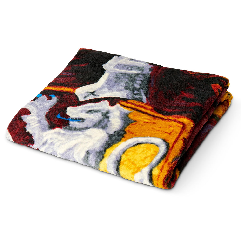 Northwest Harry Potter Micro Raschel Throw Blanket, 46 