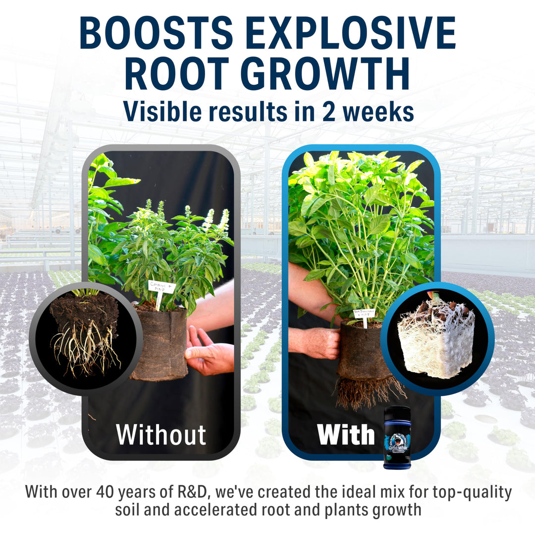 Great White Mycorrhizae, 1 oz.